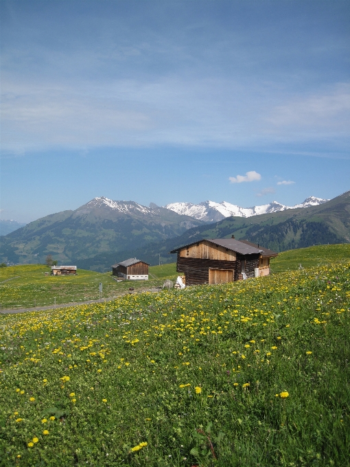 Paesaggio mare natura erba