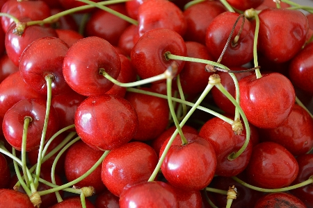 Anlage frucht essen rot Foto