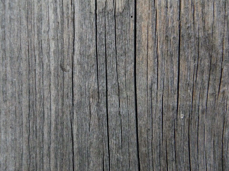 Tree fence wood texture