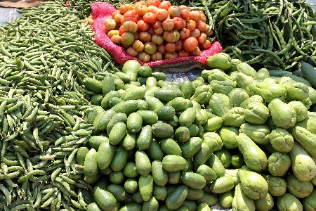 Nature plant farm fruit Photo