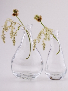 Glass vase bottle still life Photo