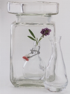 Glass vase bottle still life Photo