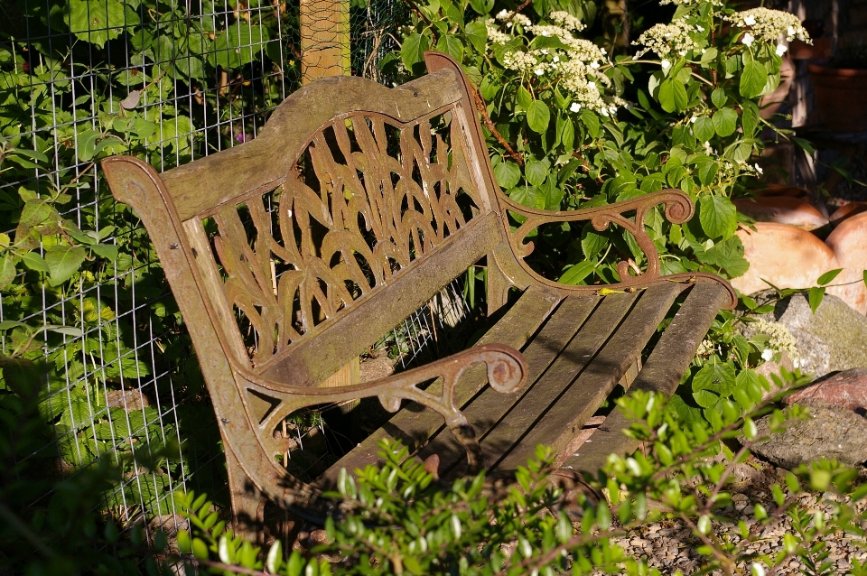 Tree nature wood bench