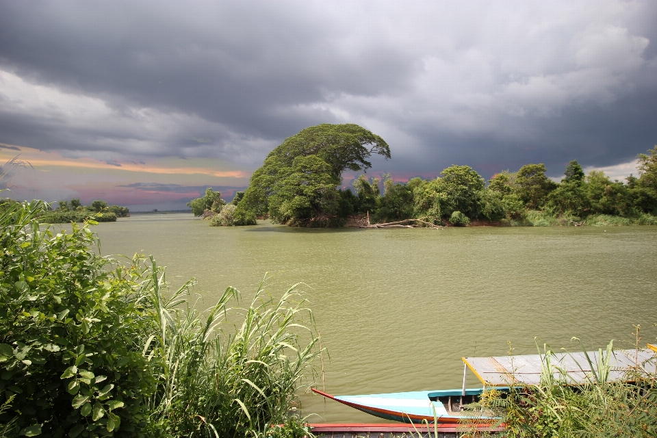 Paisagem mar árvore água