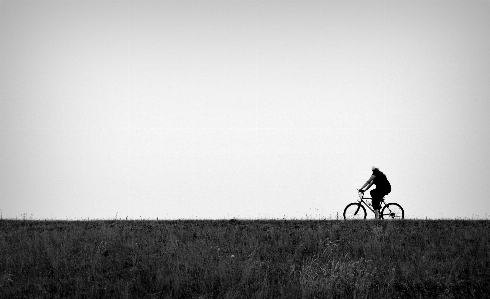 Foto Caminho grama silhueta preto e branco
