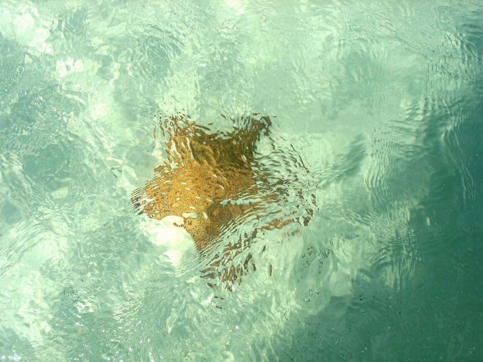 海 水 海洋 日光