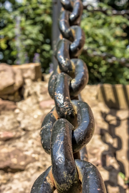 Corrente monumento animais selvagens estátua