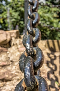 Chain monument wildlife statue Photo