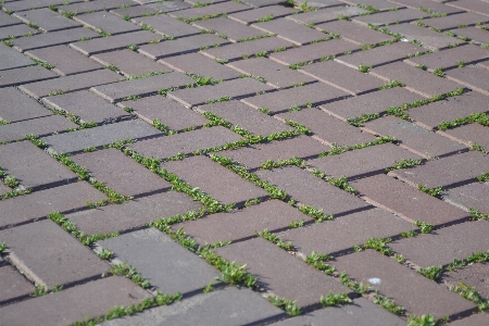 Road field roof cobblestone Photo