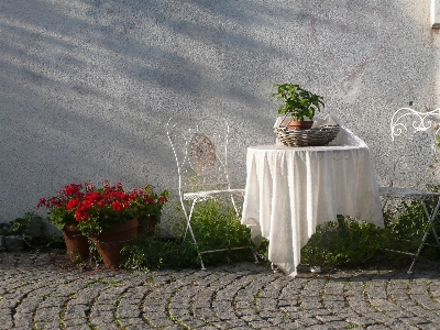 Tisch weiss blume wand Foto