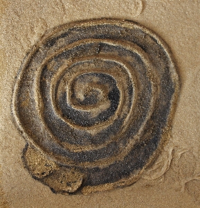 Sand abstract wood texture Photo