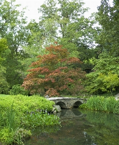 Landscape tree water nature Photo