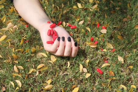 Hand tree grass plant Photo