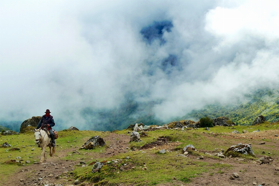 Mann landschaft natur wildnis
