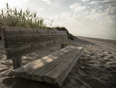 Beach sea coast sand Photo