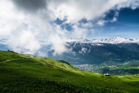 風景 自然 草 アウトドア 写真