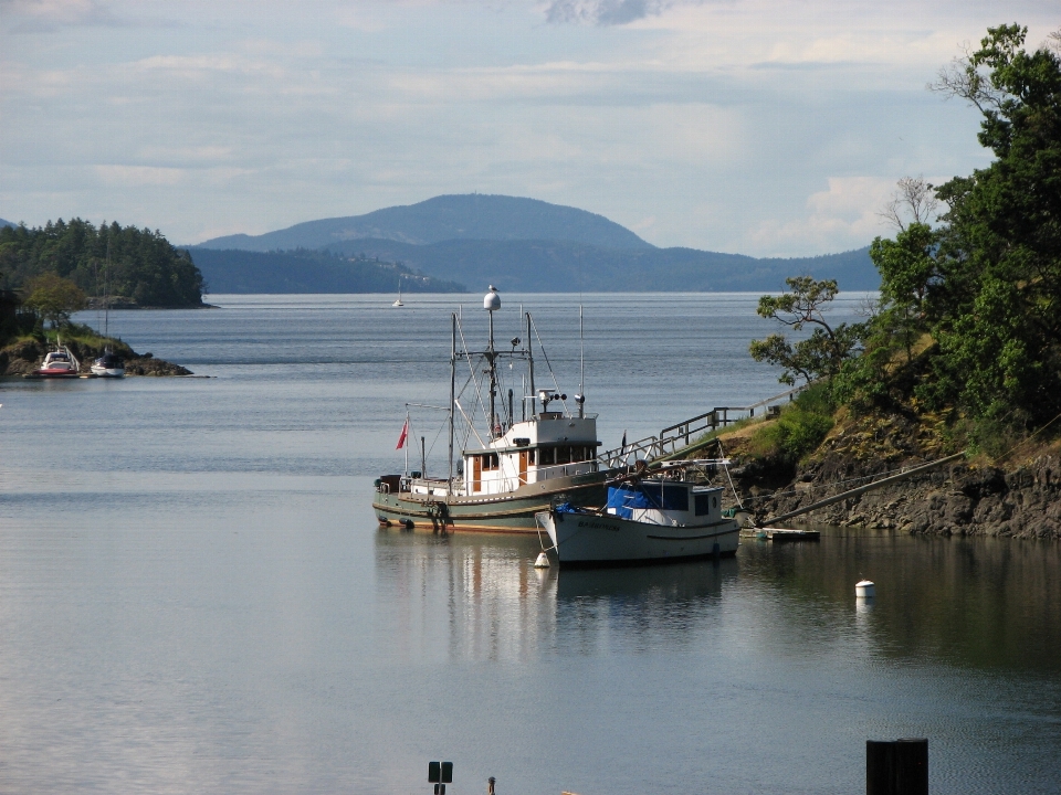 Laut pesisir air dock