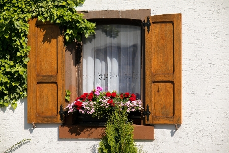 Architecture wood house flower Photo