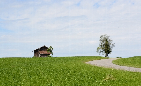 Nature grass sky field Photo