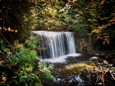 風景 木 水 自然 写真