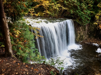 Zdjęcie Krajobraz drzewo woda natura