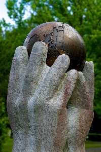 Фото дерево rock памятник статуя