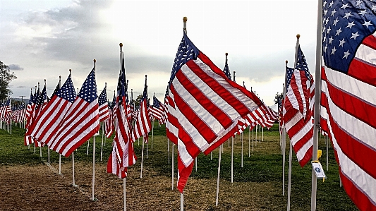 White star wind country Photo