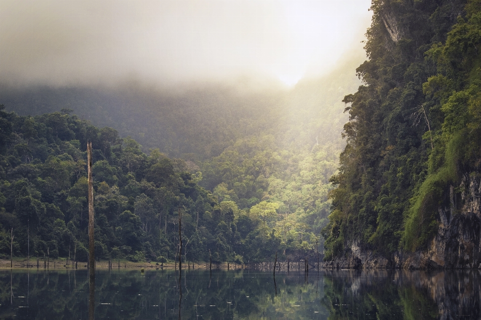 Landschaft baum wasser natur