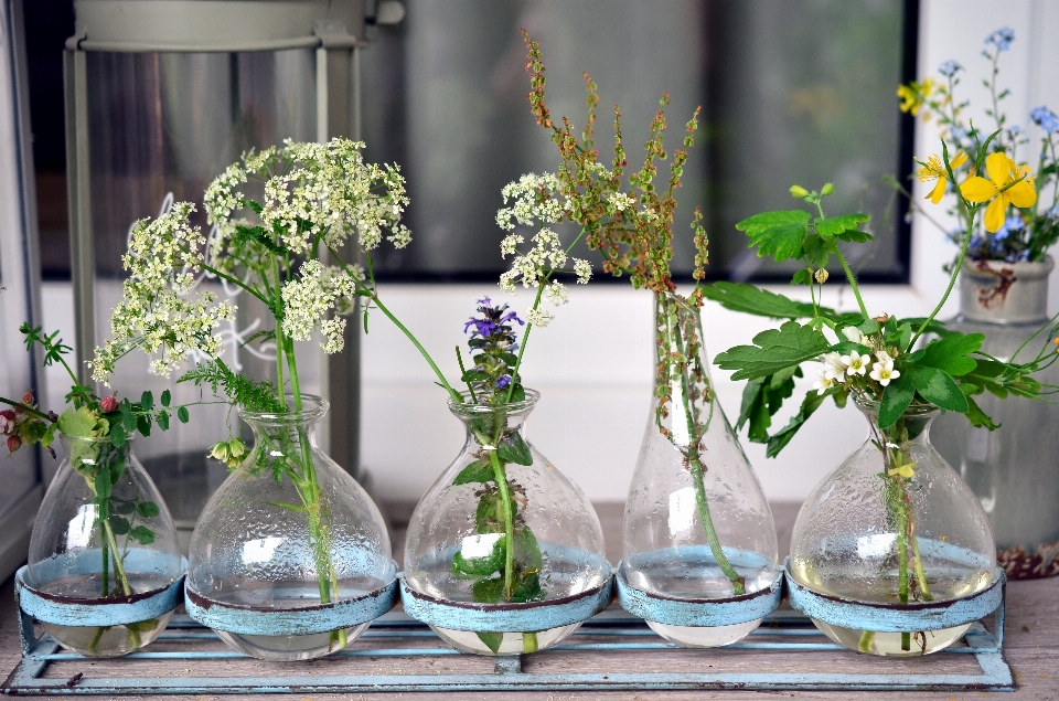 Usine fleur verre balcon