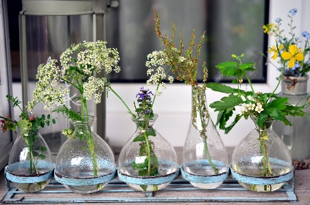 Plant flower glass balcony Photo