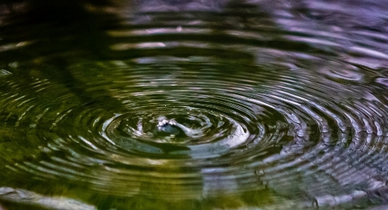 水 自然 落とす 露 写真