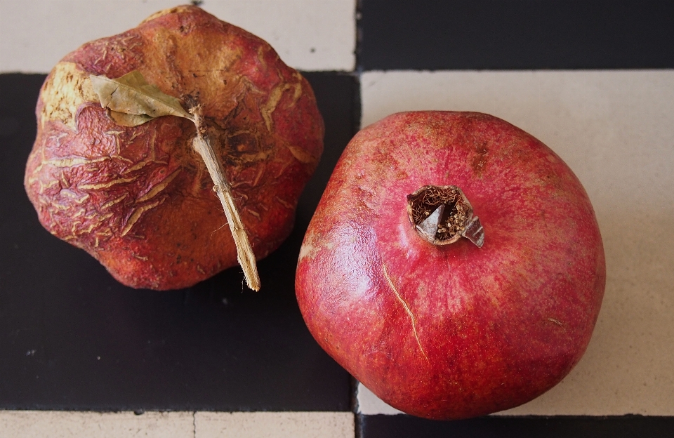 Apple bianco e nero
 pianta frutta