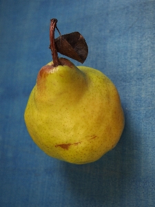 Plant fruit food produce Photo