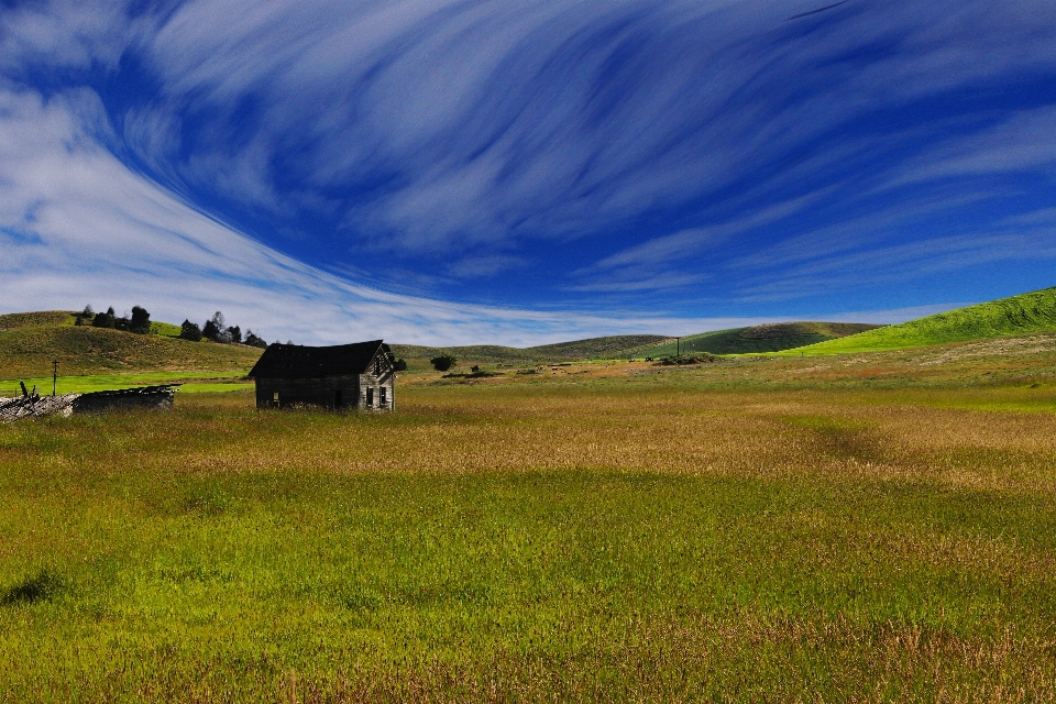 Landscape nature grass outdoor