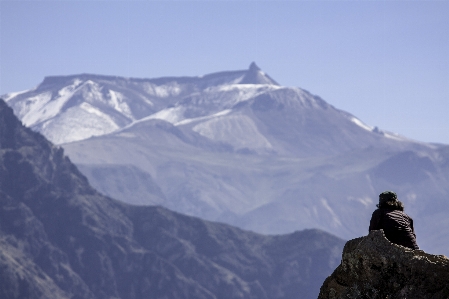 Man landscape mountain snow Photo