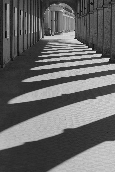 Lumière noir et blanc
 bois route