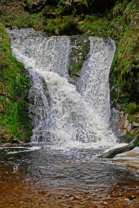 Acqua natura cascata fiume