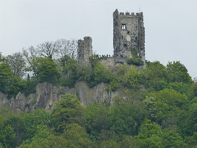 Tree forest hill building Photo