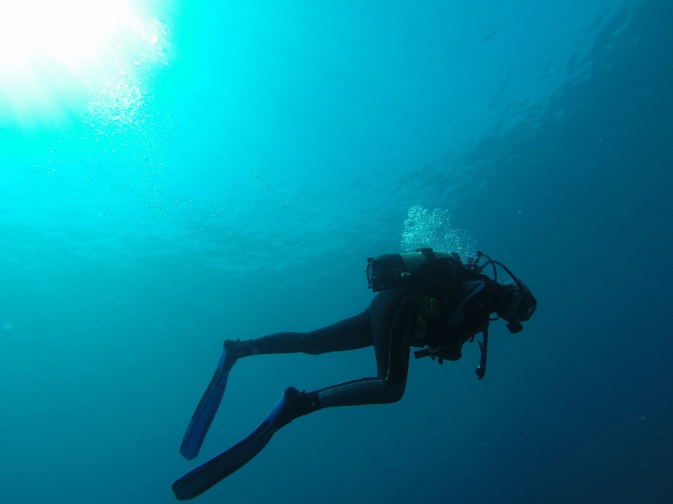 Mar agua recreación buceo