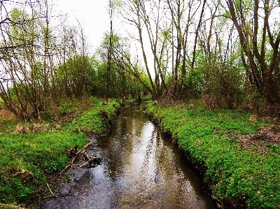 Landscape tree water nature Photo