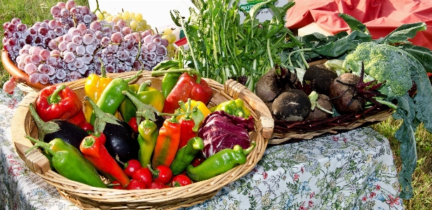 Flower dish meal food Photo