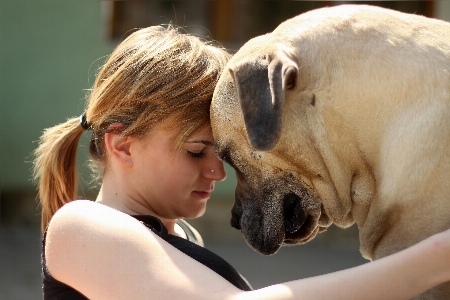 Foto Gadis anak anjing satwa