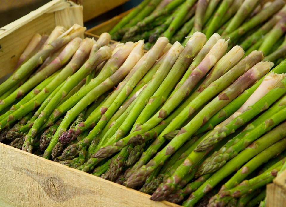 Alimento producir verdura mercado