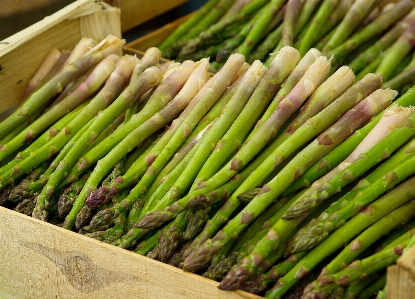 食べ物 生産 野菜 市場 写真