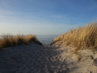 Beach landscape sea coast Photo