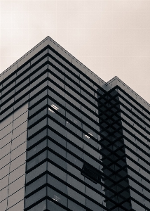 黒と白
 建築 空 ガラス 写真