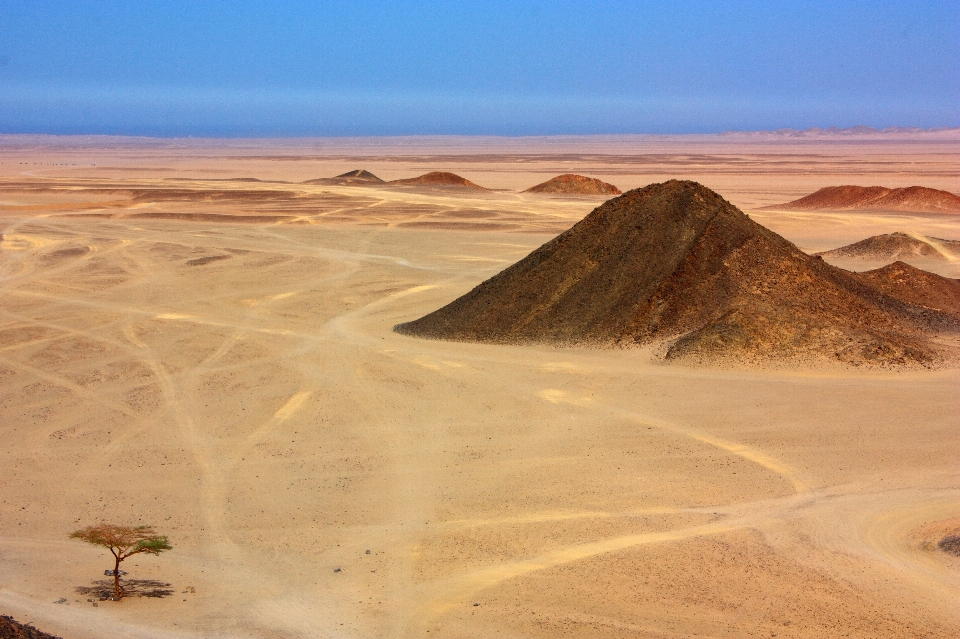 Landschaft baum sand rock