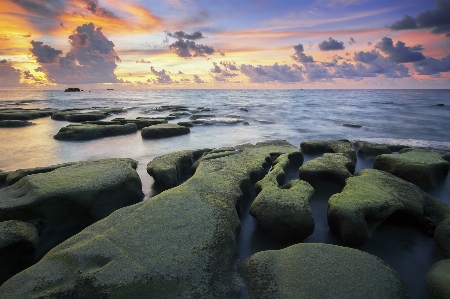 Beach sea coast water Photo