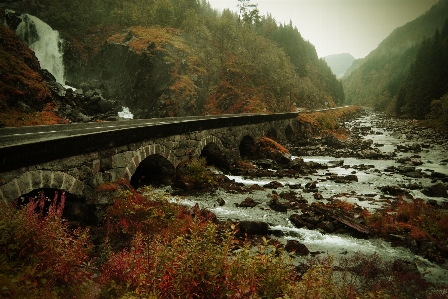 Landscape water nature forest Photo