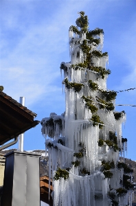 Baum wasser winter himmel Foto